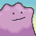 Ditto official PokéBonk portrait